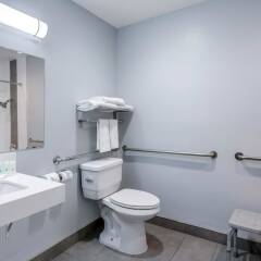 Отель Quality Inn Near Hollywood Walk of Fame США, Лос-Анджелес - 1 отзыв об отеле, цены и фото номеров - забронировать отель Quality Inn Near Hollywood Walk of Fame онлайн ванная