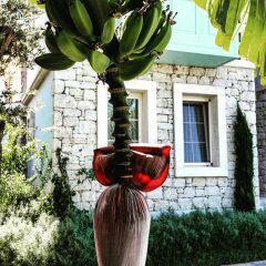 Cassiopeia Hotel Alacati Чешме фото 24