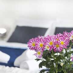 Hotel Stella d'Italia комната для гостей фото 15