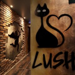 Отель Hwagok Lush Hotel Южная Корея, Сеул - отзывы, цены и фото номеров - забронировать отель Hwagok Lush Hotel онлайн спа фото 8