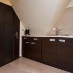 Отель Apartamenty Viva Tatry Польша, Закопане - отзывы, цены и фото номеров - забронировать отель Apartamenty Viva Tatry онлайн фото 5