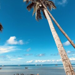 Отель Koh Tao Tropicana Resort Таиланд, Остров Тау - отзывы, цены и фото номеров - забронировать отель Koh Tao Tropicana Resort онлайн фото 2