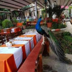 Отель Meatsa Hotel Болгария, Карджали - отзывы, цены и фото номеров - забронировать отель Meatsa Hotel онлайн питание фото 2
