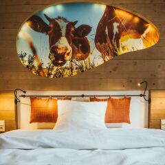 Отель Cocoon Hauptbahnhof в номере