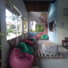 Отель Gecko Republic Jungle Hostel Таиланд, Остров Тау - отзывы, цены и фото номеров - забронировать отель Gecko Republic Jungle Hostel онлайн фото 2