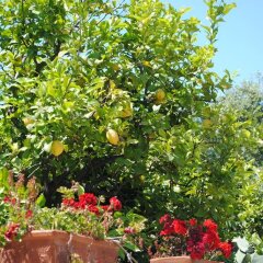 Отель B&B AnnaVì Бари фото 13