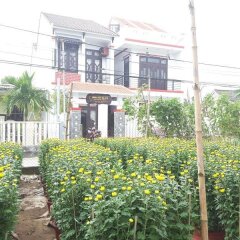 Отель Backpackers Home фото 8