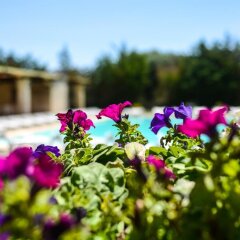 Отель Tenuta Santicuti Верноле фото 4