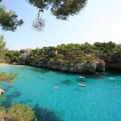 Pinos Playa Hotel