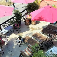Отель Siesta Suites Hotel Мексика, Кабо-Сан-Лукас - отзывы, цены и фото номеров - забронировать отель Siesta Suites Hotel онлайн помещение для мероприятий
