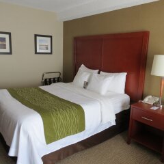 Отель Comfort Inn Dartmouth комната для гостей фото 4