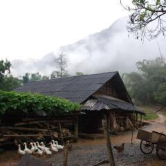 Хостел BC Family Homestay - Hanoi's Heart Ханой фото 2