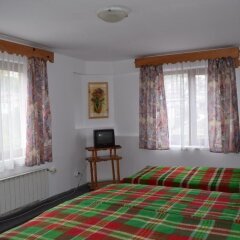 Отель Family Hotel Feniks Болгария, Чепеларе - отзывы, цены и фото номеров - забронировать отель Family Hotel Feniks онлайн детские мероприятия