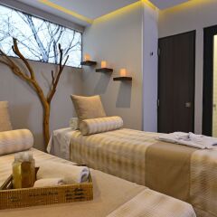 Отель Baruk Guadalajara Hotel de Autor Мексика, Гвадалахара - отзывы, цены и фото номеров - забронировать отель Baruk Guadalajara Hotel de Autor онлайн спа