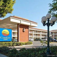 Отель Comfort Inn Near Pasadena Civic Auditorium США, Пасадена - отзывы, цены и фото номеров - забронировать отель Comfort Inn Near Pasadena Civic Auditorium онлайн спортивное сооружение