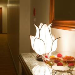 Demantoid Hotel удобства в номере