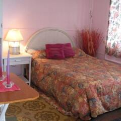 Paula's Country Inn in Cul de Sac, Sint Maarten from 186$, photos, reviews - zenhotels.com guestroom photo 2