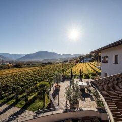 Отель Weingut Donà Аппиано-сулла-Страда-дель-Вино балкон