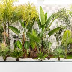 Отель Riad Zyo Марокко, Рабат - отзывы, цены и фото номеров - забронировать отель Riad Zyo онлайн фото 3