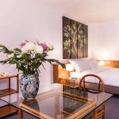 Отель Sagitta Hotel Швейцария, Женева - отзывы, цены и фото номеров - забронировать отель Sagitta Hotel онлайн удобства в номере