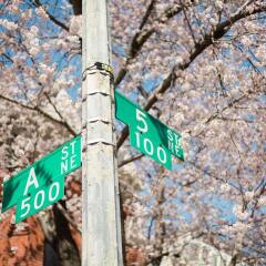 Отель Found Places Capitol Hill Bed & Breakfast развлечения