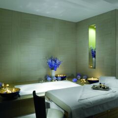 Отель The Ritz-Carlton, Vienna спа