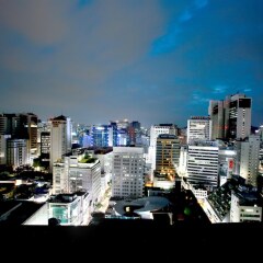 Отель Royal Hotel Seoul Южная Корея, Сеул - отзывы, цены и фото номеров - забронировать отель Royal Hotel Seoul онлайн фото 6