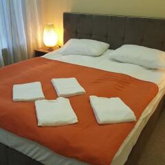 Mini-hotel Sovotel комната для гостей фото 5