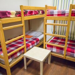 Chekhov Bro Hostel Москва детские мероприятия фото 2