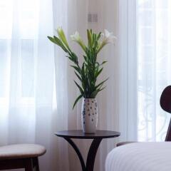 Отель Classic Street Hotel Вьетнам, Ханой - отзывы, цены и фото номеров - забронировать отель Classic Street Hotel онлайн удобства в номере фото 2