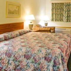 Отель Americas Best Value Inn Columbus North Колумбус комната для гостей фото 4