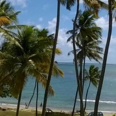 Palm View in Vieux Fort, St. Lucia from 753$, photos, reviews - zenhotels.com beach photo 2