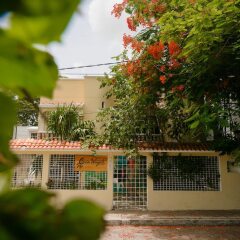 Отель Casa Wayak Hostal Мексика, Канкун - отзывы, цены и фото номеров - забронировать отель Casa Wayak Hostal онлайн фото 2