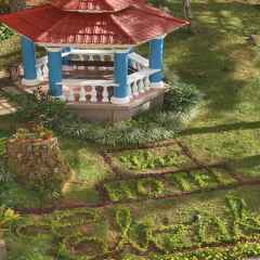 Отель Elizabeth - Baguio Филиппины, Багуйо - отзывы, цены и фото номеров - забронировать отель Elizabeth - Baguio онлайн фото 17