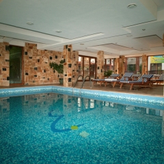 Banderitsa Hotel бассейн