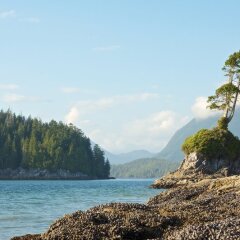 Отель WorldMark Vancouver - The Canadian Канада, Ванкувер - отзывы, цены и фото номеров - забронировать отель WorldMark Vancouver - The Canadian онлайн фото 2