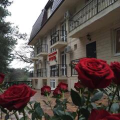 Гостиница Gelendzhik Hotel в Большом Геленджике 1 отзыв об отеле, цены и фото номеров - забронировать гостиницу Gelendzhik Hotel онлайн Большой Геленджик фото 7