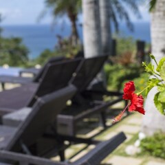 Отель Soffia Boracay Филиппины, остров Боракай - отзывы, цены и фото номеров - забронировать отель Soffia Boracay онлайн фитнесс-зал