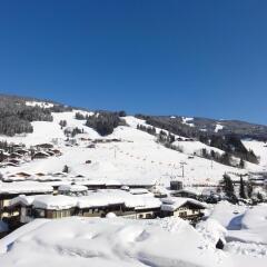 Hotel Saalbacher Hof спортивное сооружение