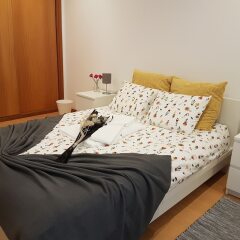Отель Apartamento do Paim Понта-Делгада комната для гостей фото 3
