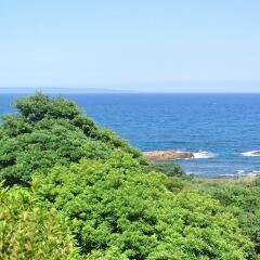 Yakushima Green Hotel Якусима пляж фото 2