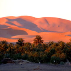 Отель Гостевой дом La Vallée des Dunes Марокко, Мерзуга - отзывы, цены и фото номеров - забронировать отель Гостевой дом La Vallée des Dunes онлайн приотельная территория