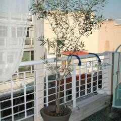 Отель Themelio Boutique Suite Греция, Афины - отзывы, цены и фото номеров - забронировать отель Themelio Boutique Suite онлайн фото 14