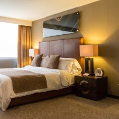Отель The Place Corporate Rentals Мексика, Мехико - отзывы, цены и фото номеров - забронировать отель The Place Corporate Rentals онлайн комната для гостей фото 3