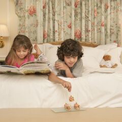 Отель The Peninsula Beverly Hills с домашними животными