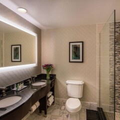 Отель Hilton St. Louis Downtown Сент-Луис ванная фото 2
