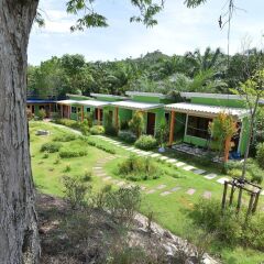 Отель Rubber Tree Resort Таиланд, Ланта - отзывы, цены и фото номеров - забронировать отель Rubber Tree Resort онлайн фото 3