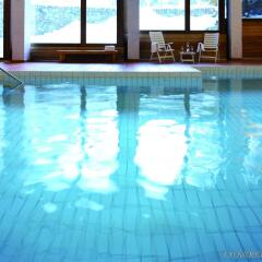 Отель Morosani Posthotel Швейцария, Давос - отзывы, цены и фото номеров - забронировать отель Morosani Posthotel онлайн бассейн