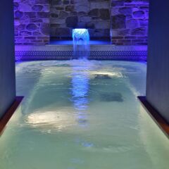 Отель Best Western Plus Hotel Genova Италия, Турин - 1 отзыв об отеле, цены и фото номеров - забронировать отель Best Western Plus Hotel Genova онлайн бассейн