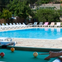 Отель Olive Grove Resort бассейн фото 2